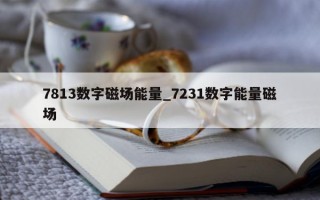 7813 数字磁场能量_7231 数字能量磁场