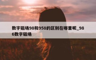 数字磁场 98 和 958 的区别在哪里呢_986 数字磁场