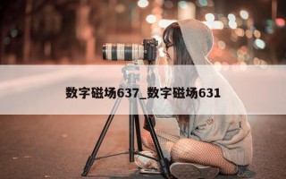 数字磁场 637_数字磁场 631