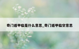 奇门遁甲临是什么意思_奇门遁甲临空意思