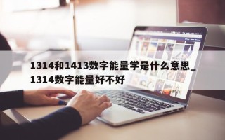 1314 和 1413 数字能量学是什么意思_1314 数字能量好不好