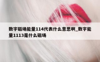 数字磁场能量 114 代表什么意思啊_数字能量 1113 是什么磁场