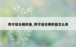 数字组合模拟器_数字组合模拟器怎么用