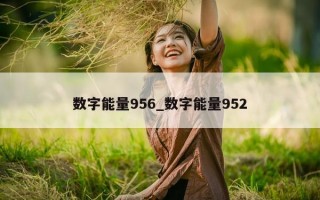 数字能量 956_数字能量 952