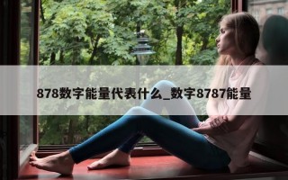 878数字能量代表什么_数字8787能量