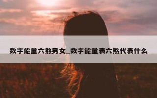 数字能量六煞男女_数字能量表六煞代表什么