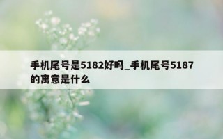 手机尾号是 5182 好吗_手机尾号 5187 的寓意是什么