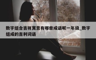 数字组合吉祥寓意有哪些成语呢一年级_数字组成的吉利词语