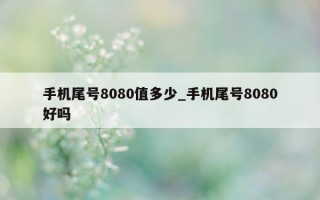 手机尾号 8080 值多少_手机尾号 8080 好吗