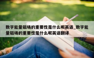 数字能量磁场的重要性是什么呢英语_数字能量磁场的重要性是什么呢英语翻译