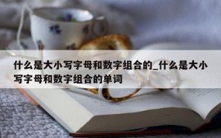 什么是大小写字母和数字组合的_什么是大小写字母和数字组合的单词