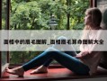 面相中的眉毛图解_面相眉毛算命图解大全