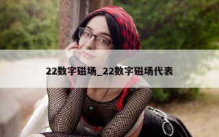 22 数字磁场_22 数字磁场代表