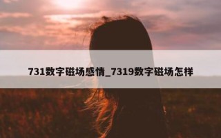 731 数字磁场感情_7319 数字磁场怎样