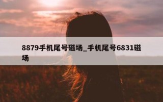 8879 手机尾号磁场_手机尾号 6831 磁场