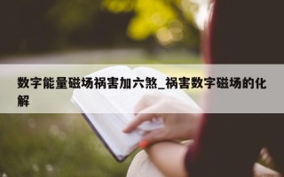 数字能量磁场祸害加六煞_祸害数字磁场的化解