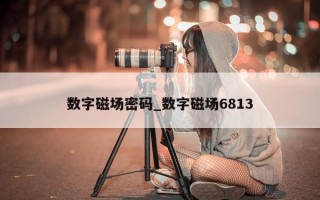 数字磁场密码_数字磁场 6813