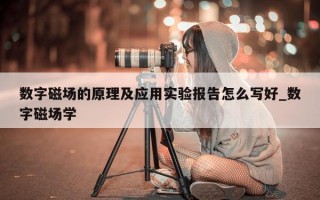 数字磁场的原理及应用实验报告怎么写好_数字磁场学