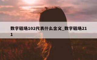 数字磁场 102 代表什么含义_数字磁场 211