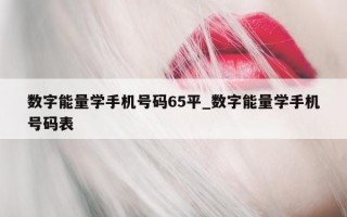 数字能量学手机号码 65 平_数字能量学手机号码表