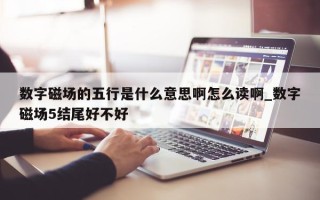 数字磁场的五行是什么意思啊怎么读啊_数字磁场 5 结尾好不好