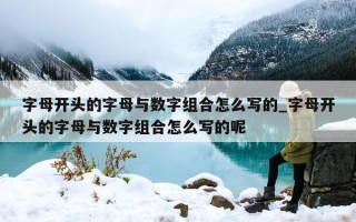 字母开头的字母与数字组合怎么写的_字母开头的字母与数字组合怎么写的呢