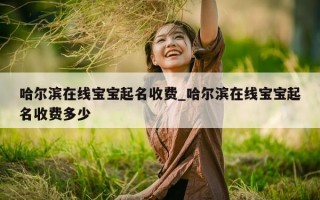 哈尔滨在线宝宝起名收费_哈尔滨在线宝宝起名收费多少