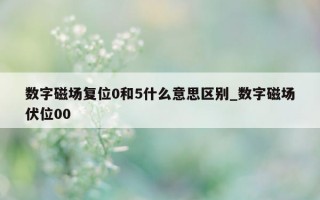 数字磁场复位 0 和 5 什么意思区别_数字磁场伏位 00