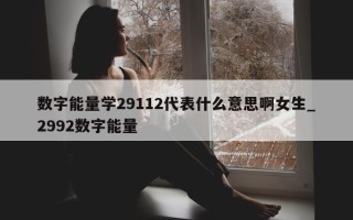 数字能量学 29112 代表什么意思啊女生_2992 数字能量