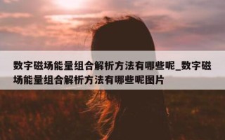 数字磁场能量组合解析方法有哪些呢_数字磁场能量组合解析方法有哪些呢图片