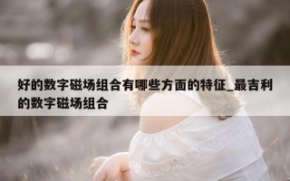 好的数字磁场组合有哪些方面的特征_最吉利的数字磁场组合