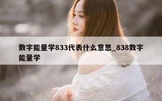 数字能量学 833 代表什么意思_838 数字能量学