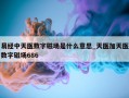 易经中天医数字磁场是什么意思_天医加天医数字磁场686