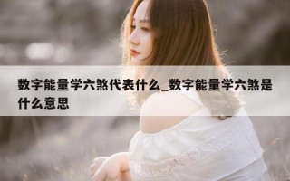 数字能量学六煞代表什么_数字能量学六煞是什么意思