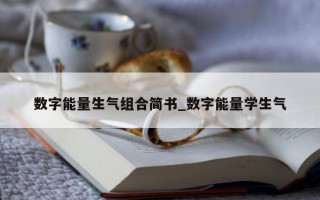 数字能量生气组合简书_数字能量学生气