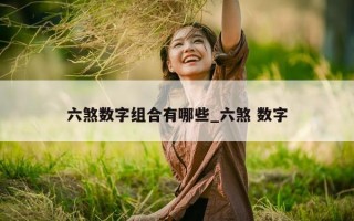 六煞数字组合有哪些_六煞 数字