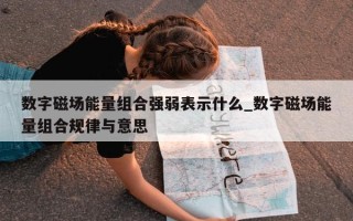 数字磁场能量组合强弱表示什么_数字磁场能量组合规律与意思