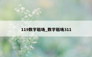 119 数字磁场_数字磁场 311