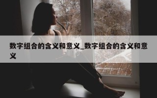 数字组合的含义和意义_数字组合的含义和意义