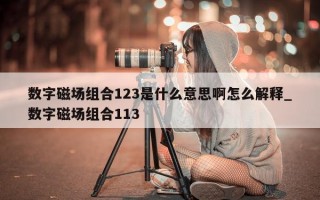 数字磁场组合 123 是什么意思啊怎么解释_数字磁场组合 113