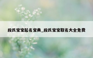 段氏宝宝起名宝典_段氏宝宝取名大全免费