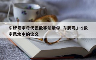 车牌号字母代表数字能量学_车牌号 1～9 数字风水中的含义