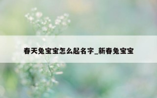 春天兔宝宝怎么起名字_新春兔宝宝