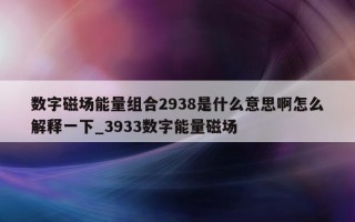 数字磁场能量组合 2938 是什么意思啊怎么解释一下_3933 数字能量磁场