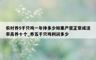 农村养 5 千只鸡一年挣多少如果产蛋正常成活率高养十个_养五千只鸡利润多少