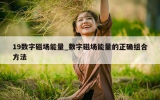 19 数字磁场能量_数字磁场能量的正确组合方法