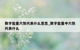 数字能量六煞代表什么意思_数字能量中六煞代表什么