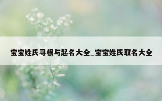 宝宝姓氏寻根与起名大全_宝宝姓氏取名大全