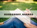 男宝宝起名阳光的字_阳光的男孩名