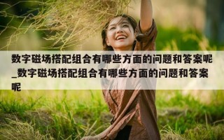 数字磁场搭配组合有哪些方面的问题和答案呢_数字磁场搭配组合有哪些方面的问题和答案呢